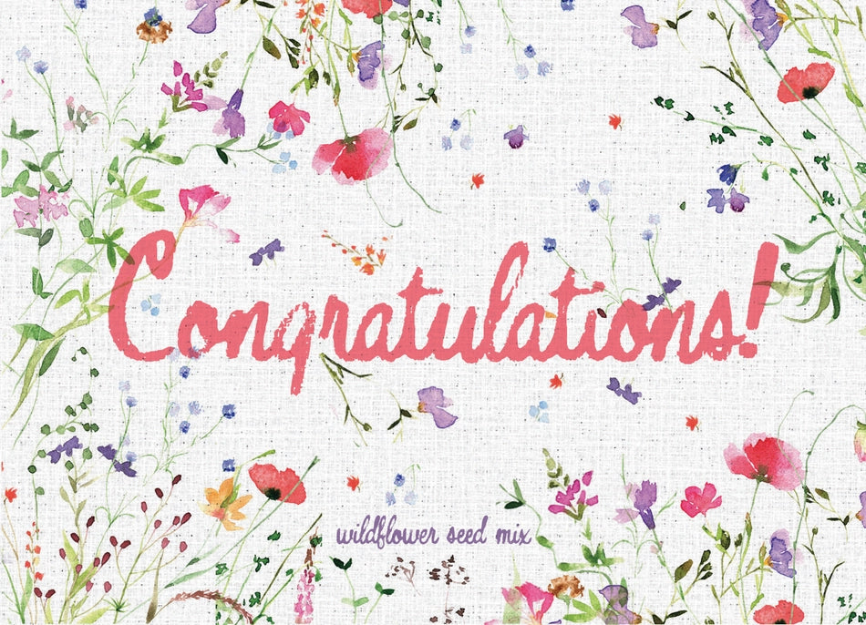Congratulations Celebration - Wildflower Mix Seed Packets, seed packet