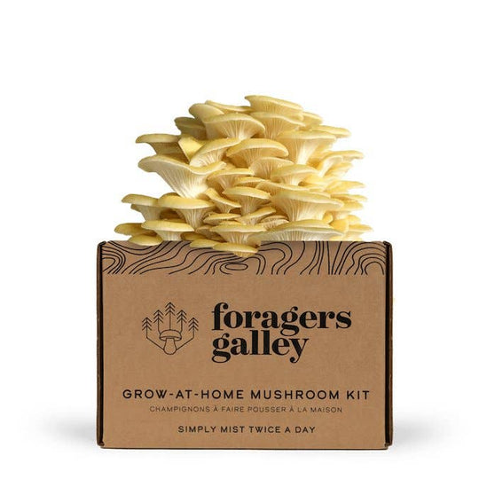 Golden Oyster Mushroom Grow-at-Home Kit, alternate view