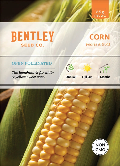 Corn-Pearls & Gold, seed packet