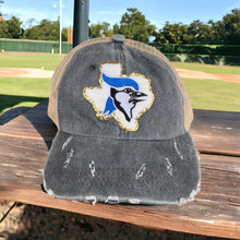 Load image into Gallery viewer, Needville Bluejays SnapBack
