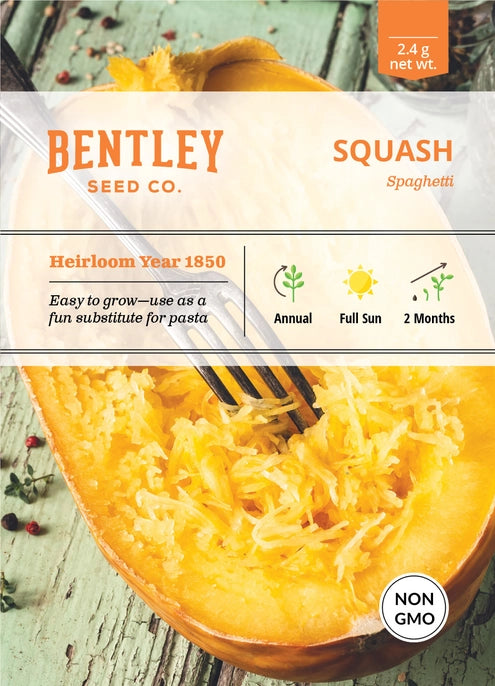 Squash, Spaghetti Seed Packets, seed packet
