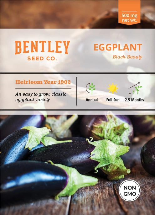 Eggplant-Black Beauty, seed packet