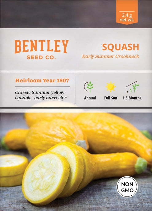 Squash-Yellow Crookneck, seed packet
