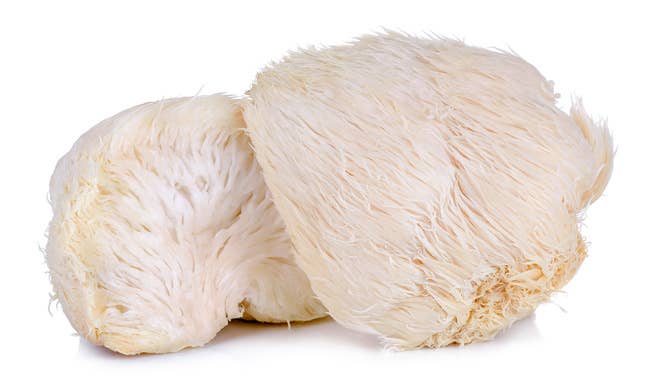 Lion's Mane Mushroom Grow-at-Home Kit