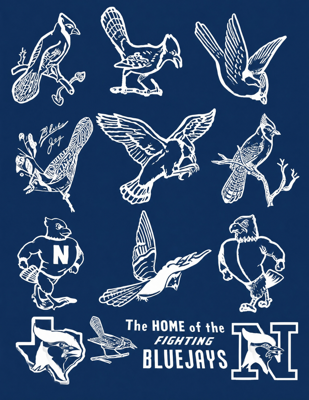 Blue jay History shirt