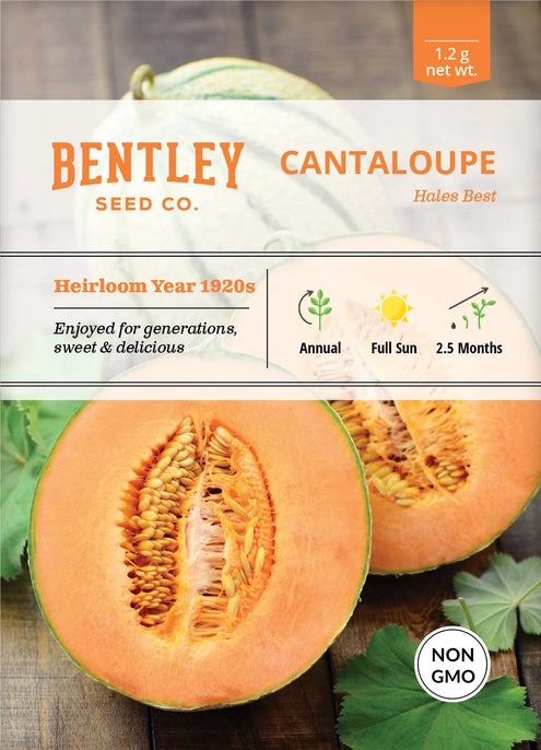 Cantaloupe-Hale's Best Jumbo